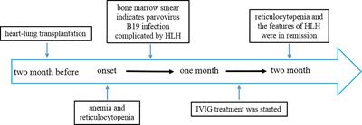 Case Report: Parvovirus B19 infection complicated by hemophagocytic lymphohistiocytosis in a heart-lung transplant patient